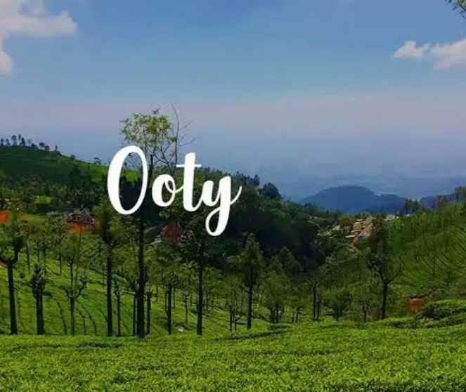 Nilgiris